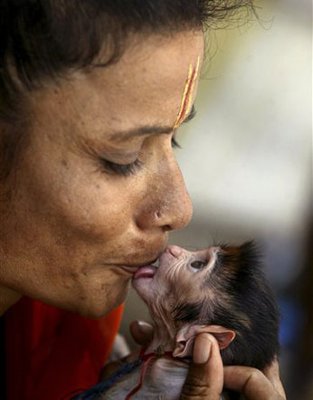 Feeding a baby Monkey