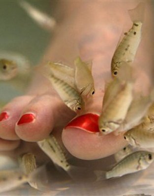 Fish Pedicure