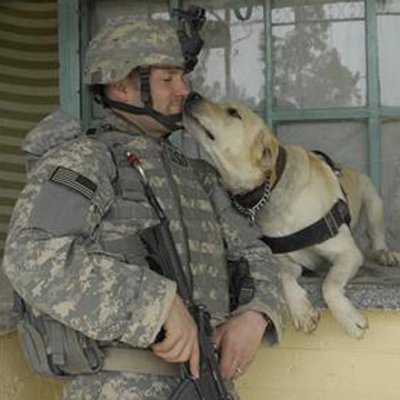 Soldier and Dog