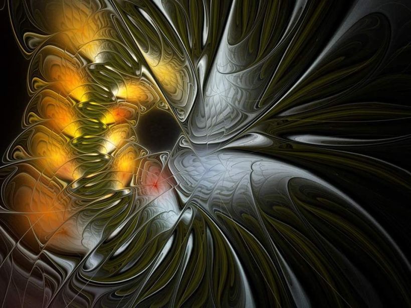 12498717_10156427699500297_142318510_n_10156427699500297